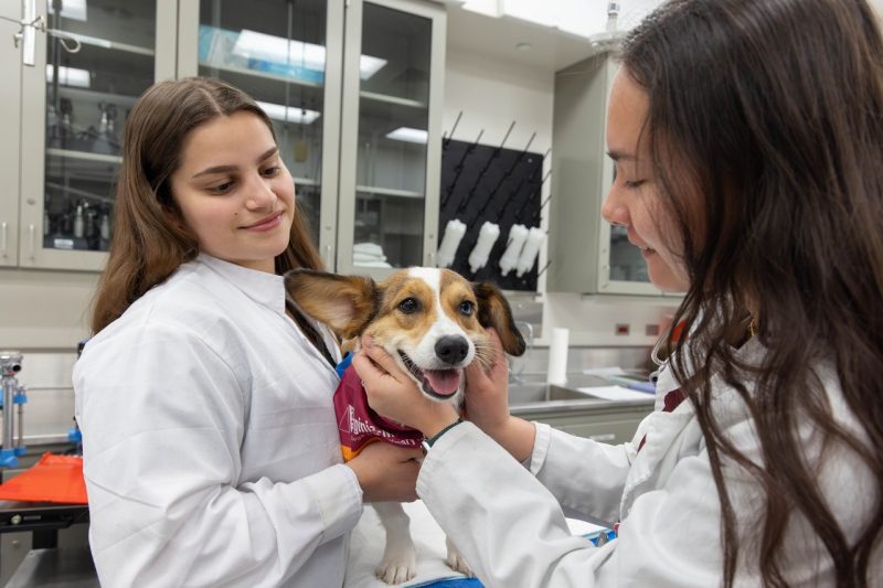 Students posing with their patient before performing a spay surgery. The dog is a part of the Animal Instructor program through the VTH.