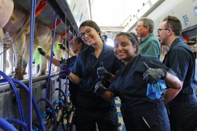 VetTRAC students at the dairy farm