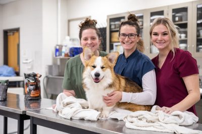 Students pose with a smiling dog who has just been washed.