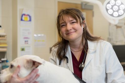Adriana Fratz examining a dog.