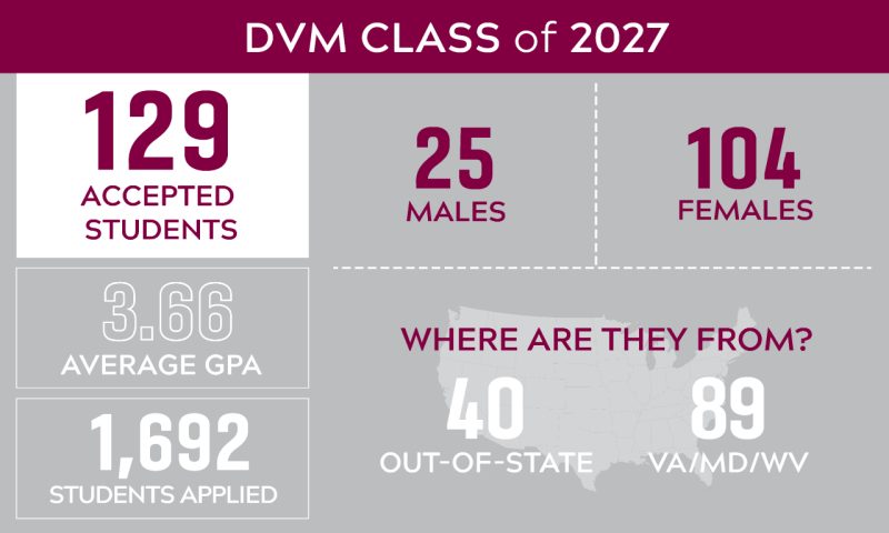 DVM Class of 2024 infographic