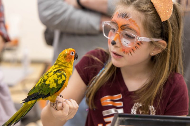 Child holding a green, yellow, and orange bird. The child's face is painted like a tiger.